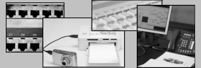 immagine.jpg (8 kb)